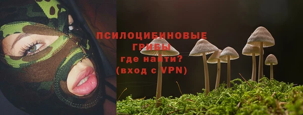 соль курить ск Алексин