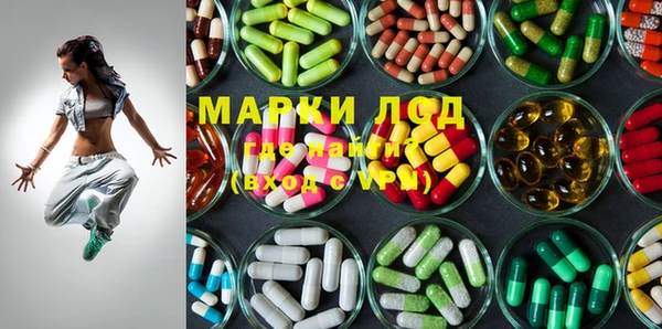 гашик Алексеевка