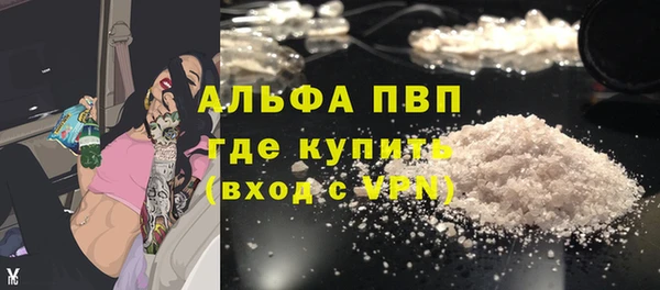гашик Алексеевка