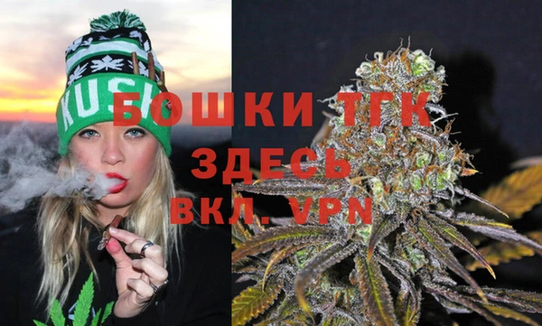 гашик Алексеевка