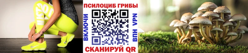 Псилоцибиновые грибы Cubensis  Арск 